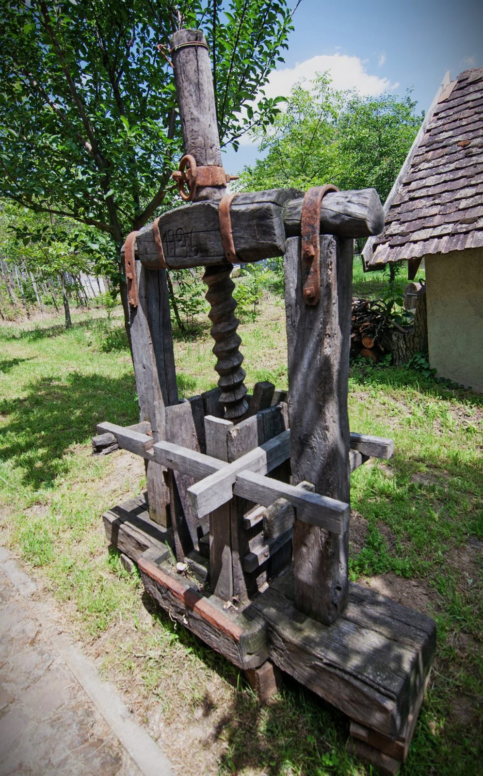 Bikfalvi Zsolt EFIAPg (RO)