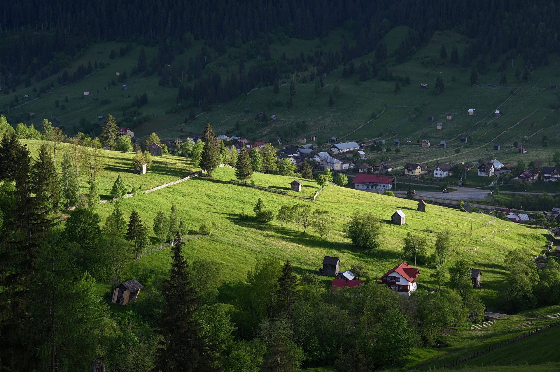 Morvay Szabó Edina EFIAP (RO)