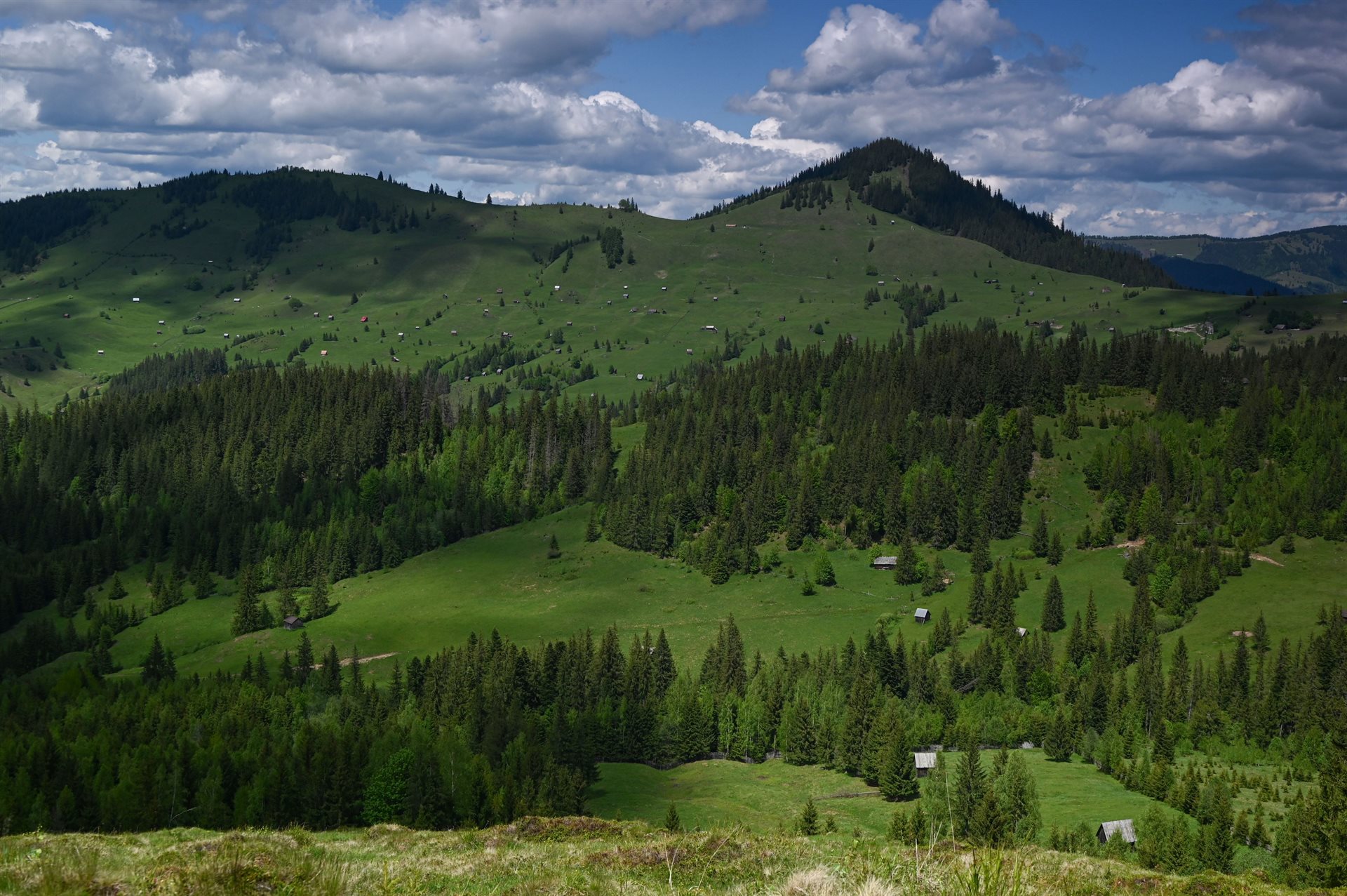 Morvay Szabó Edina EFIAP (RO)