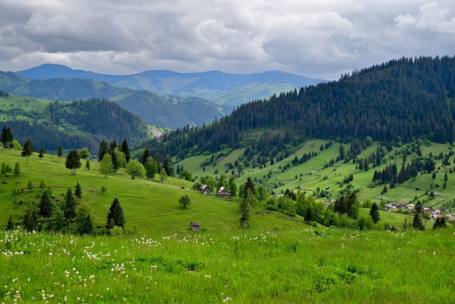Szabó Géza AFIAP (RO)