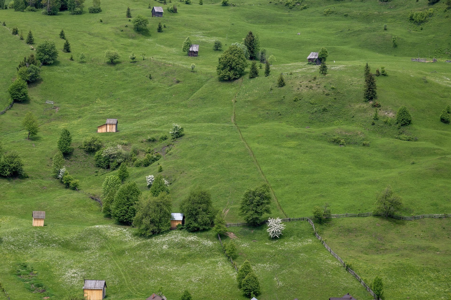 Horia Scubli (RO)