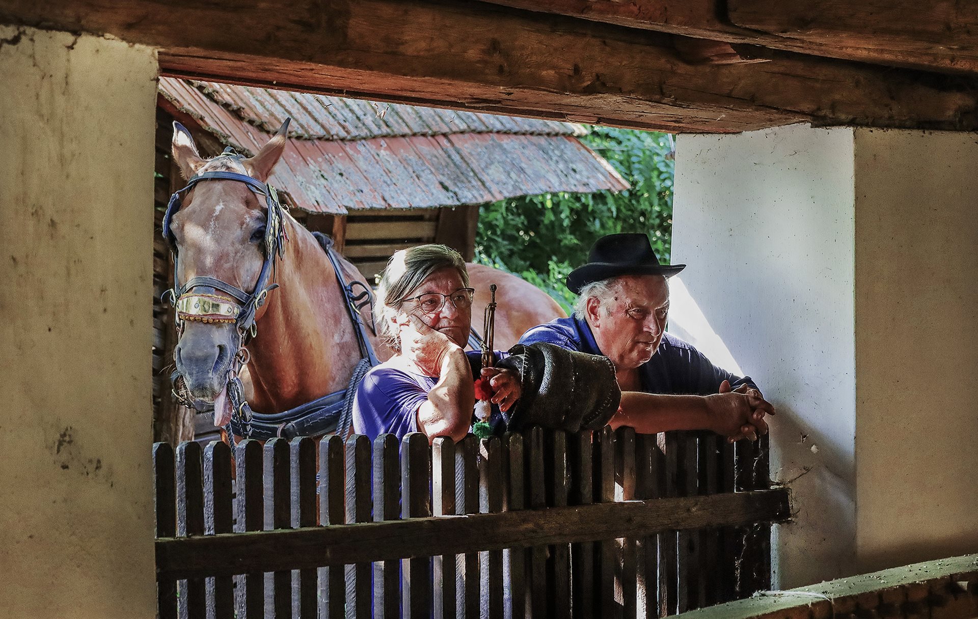 Héjja Árpád (RO)
