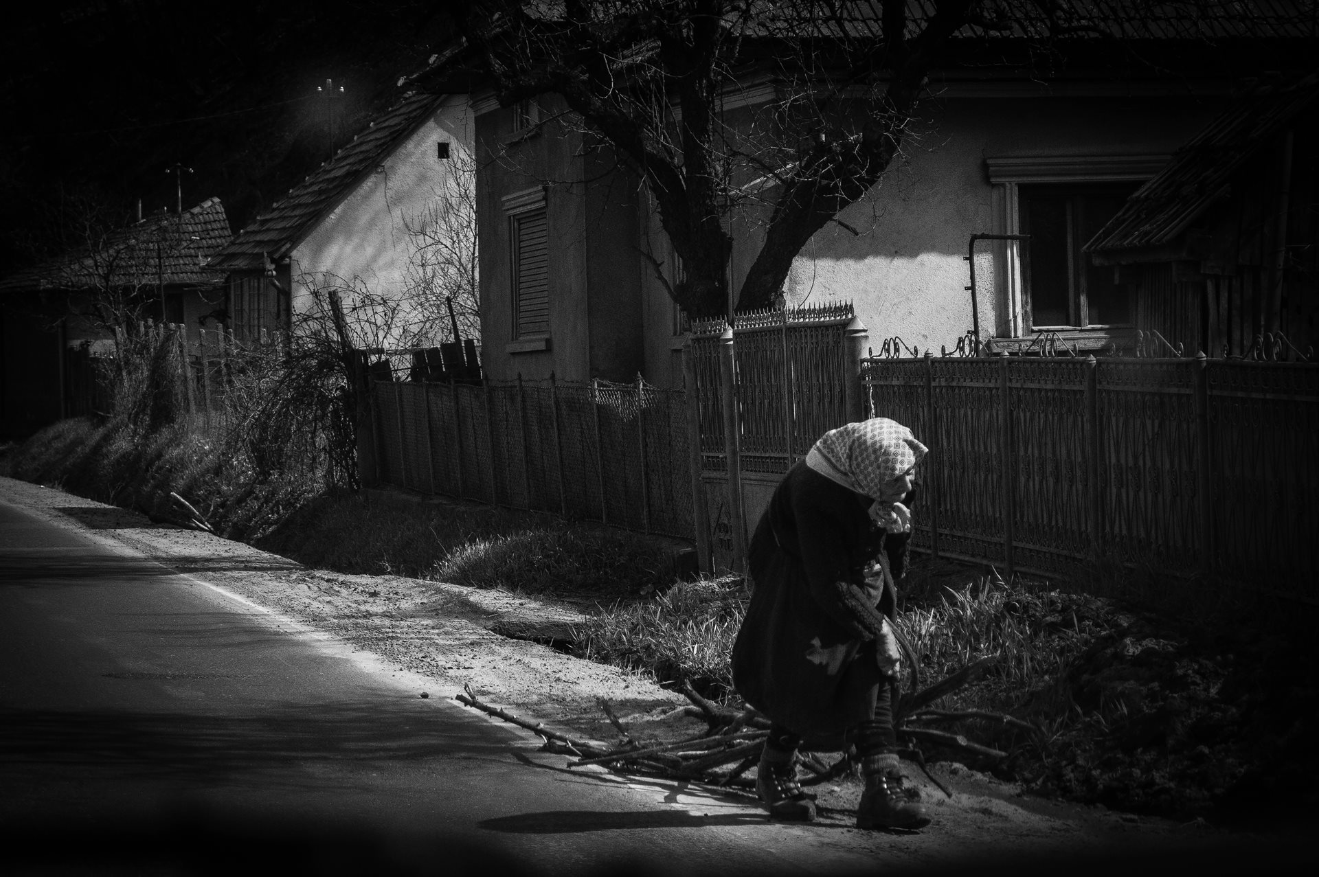 Somogyvári Ferenczi Éva (SK)