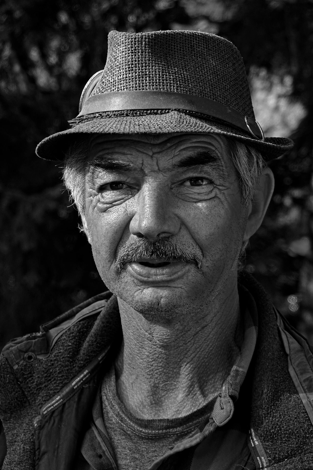 Bárdos Tamás (HU)